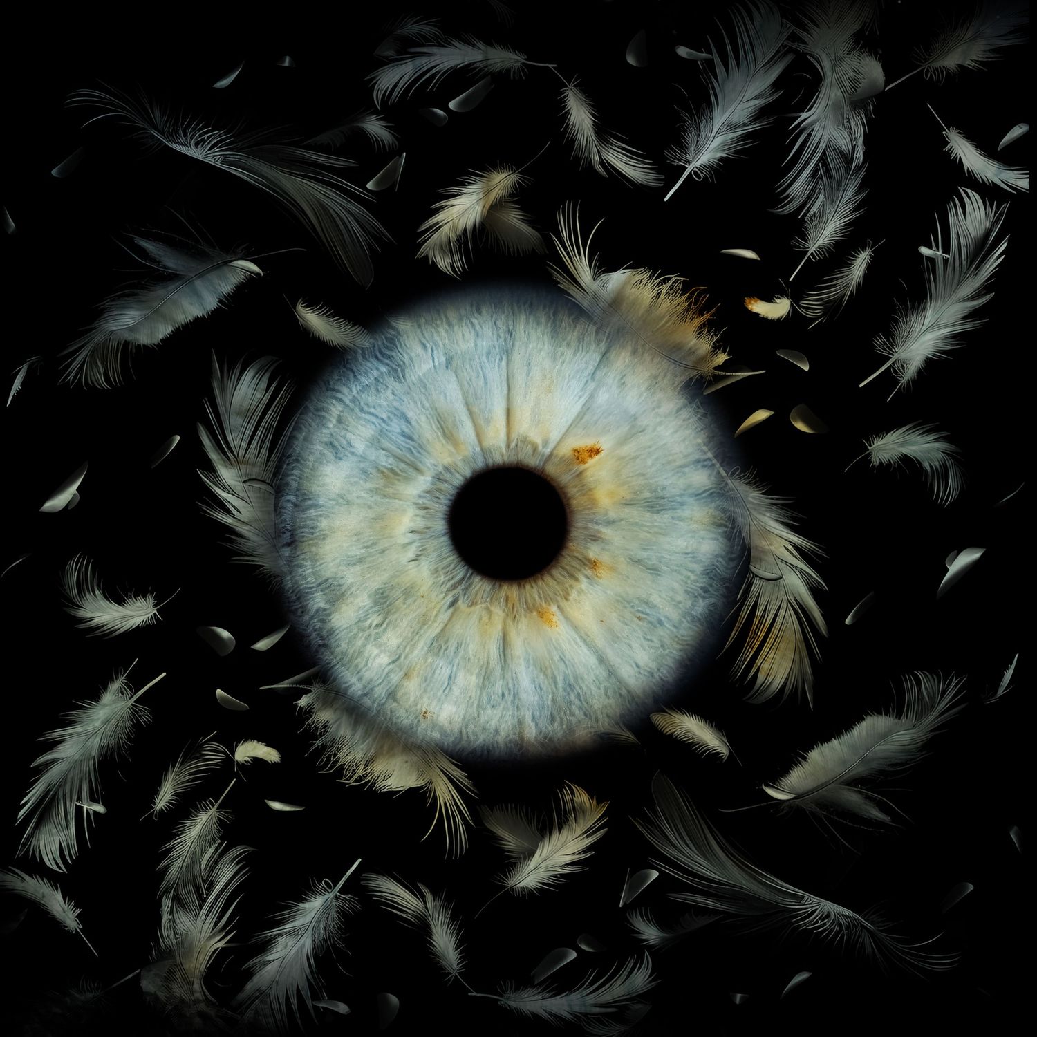 Artistic macro photo of a blue human eye iris surrounded by floating white feathers on dark background.