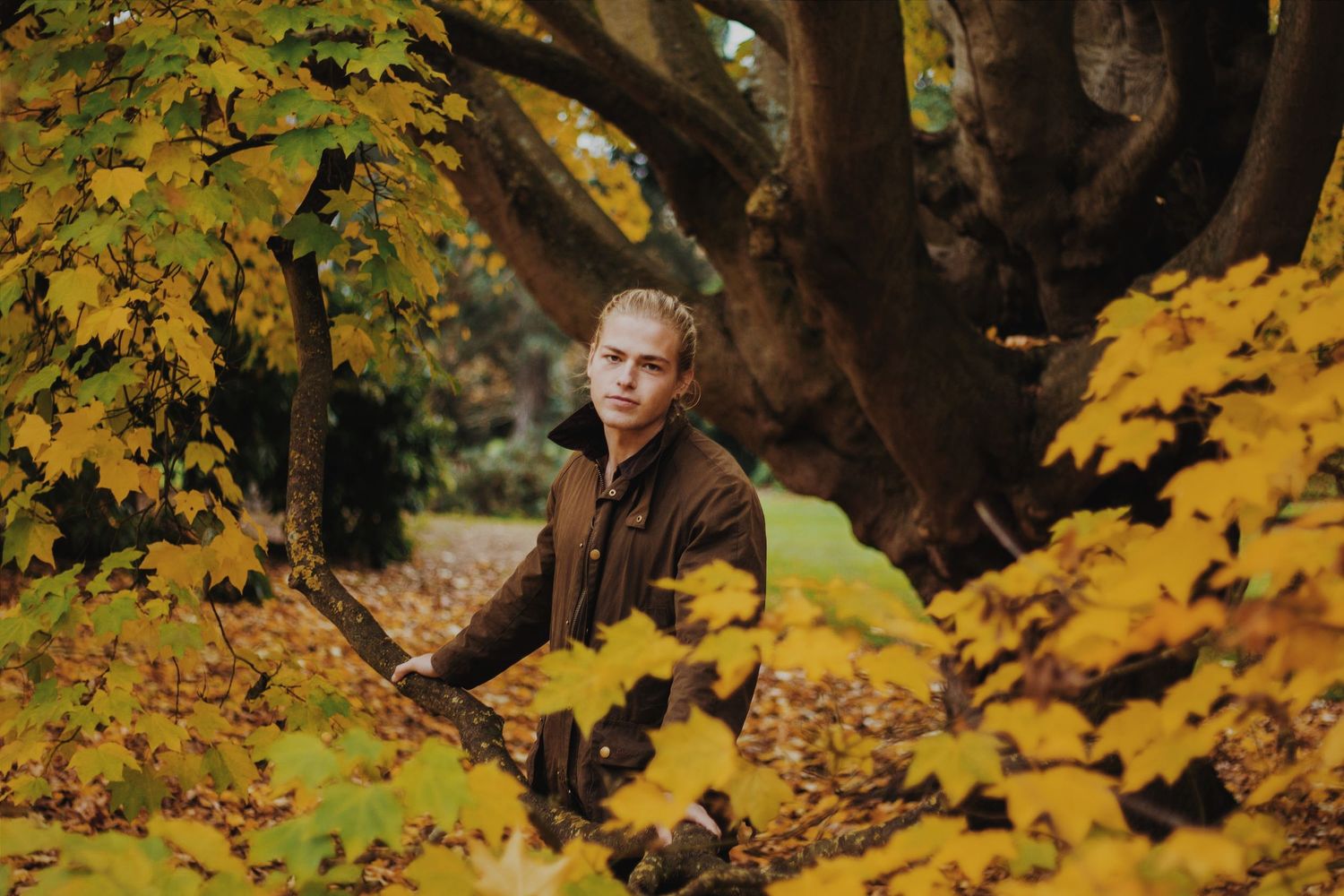 A young blonde person sits among vibrant yellow autumn leaves beside a large tree in a park.