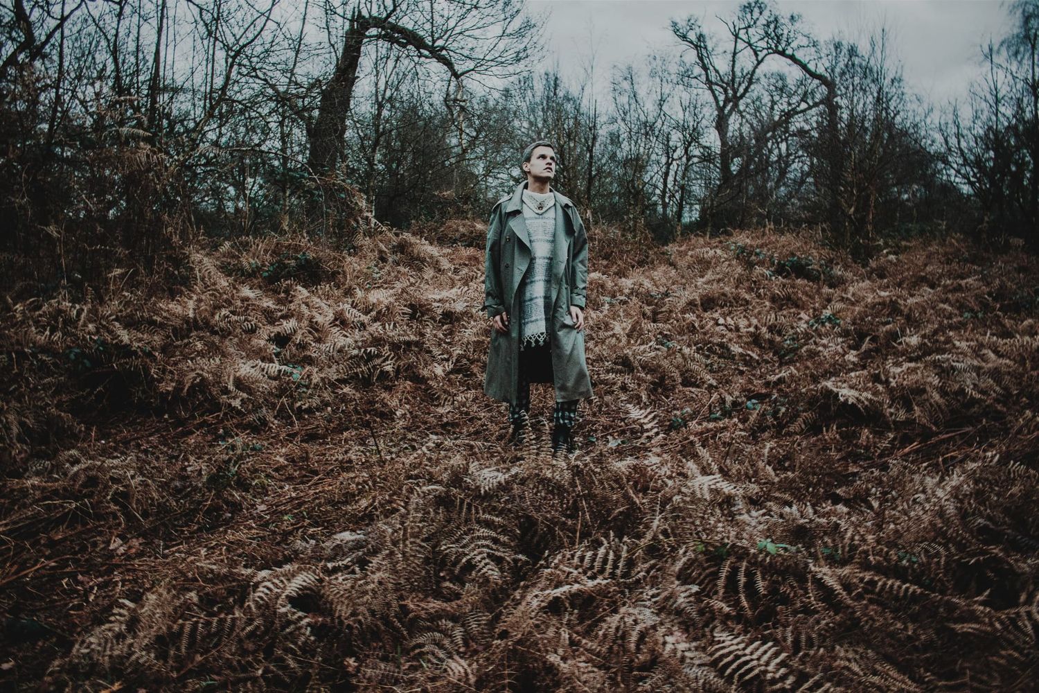 Person in grey coat standing among brown ferns in a moody woodland setting.