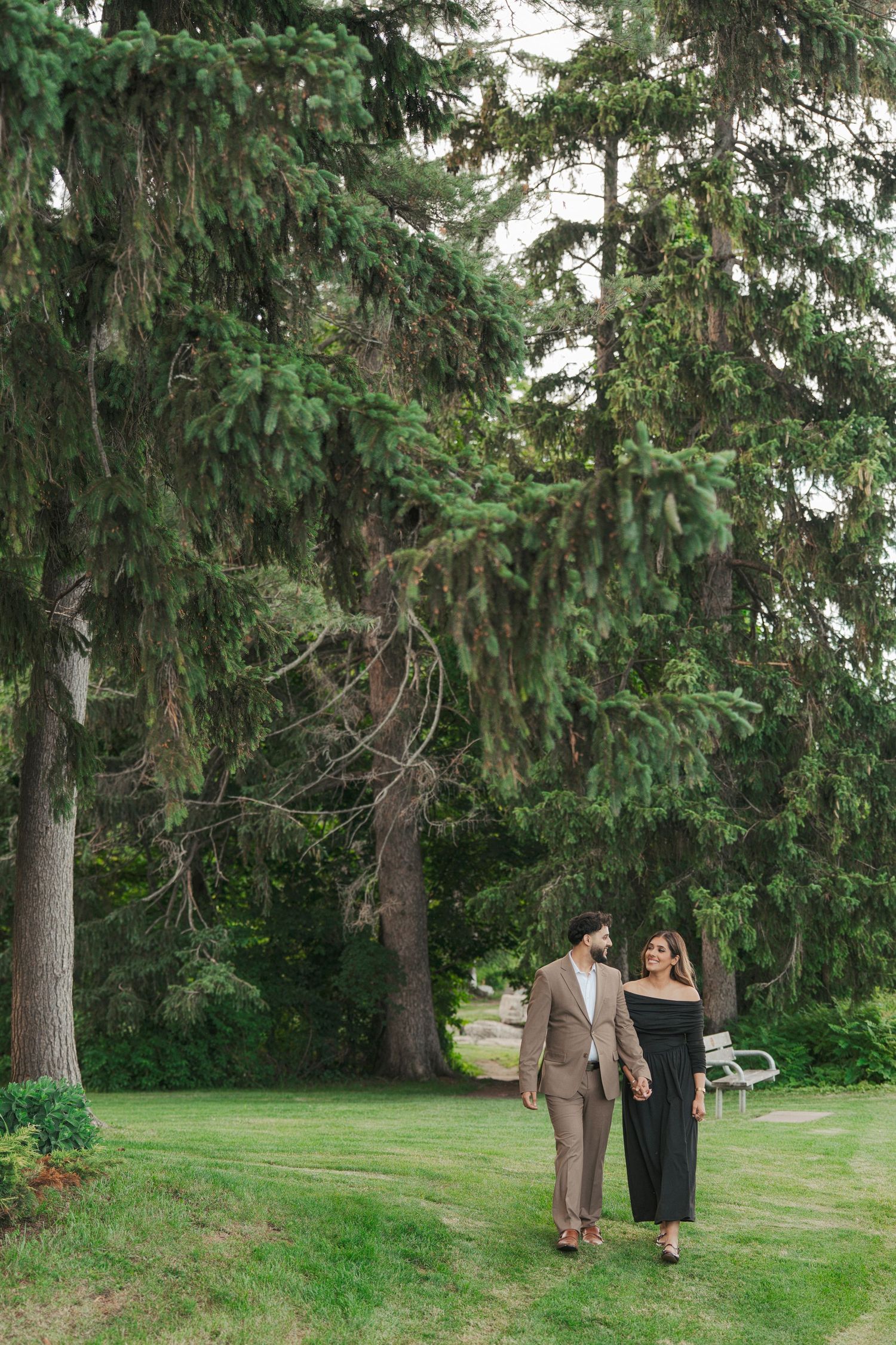 Couple strolls hand in hand across a manicured lawn beneath towering evergreen trees near a park bench in an outdoor photo session.