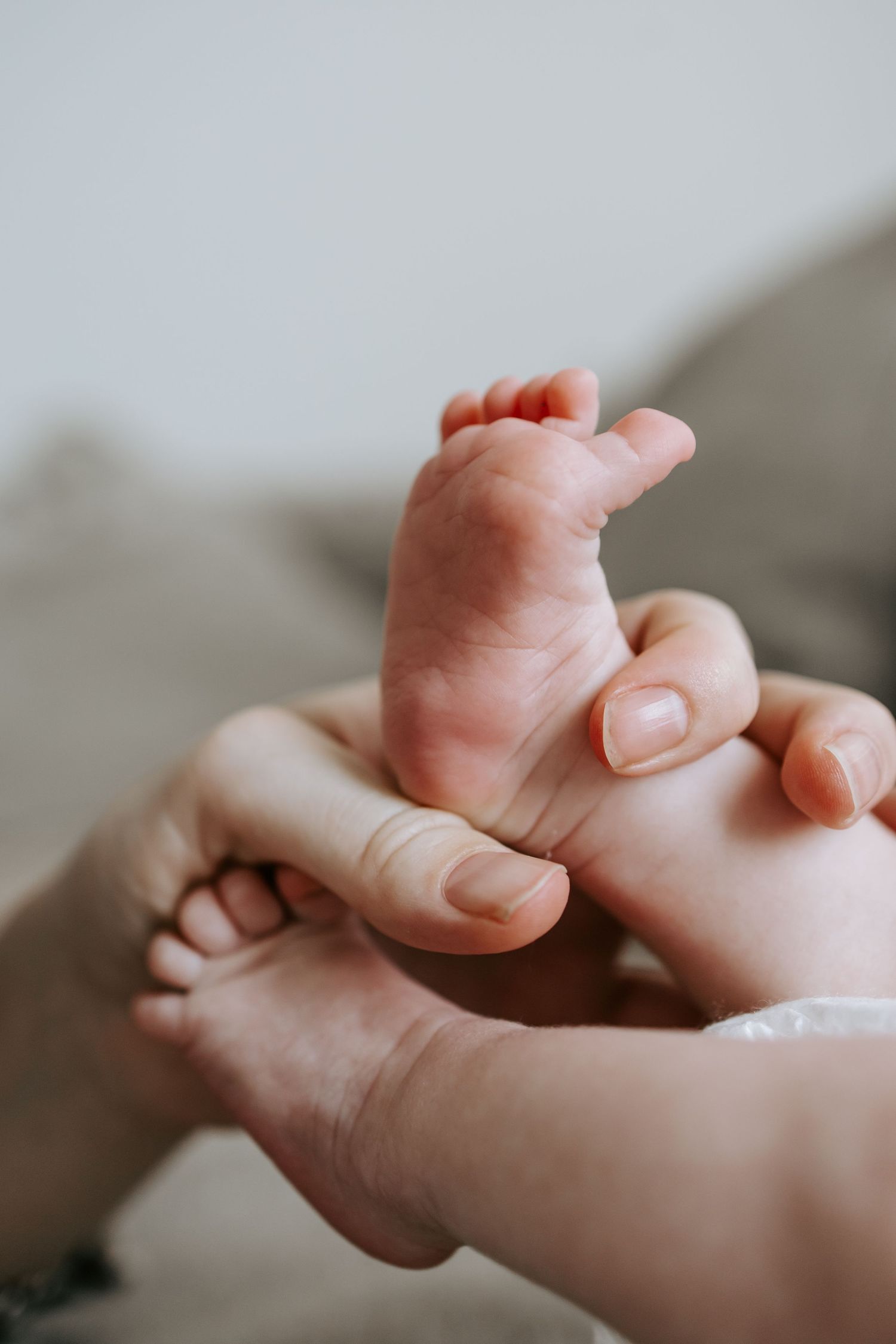 Close-up of adult hands gently holding a tiny newborn baby foot.