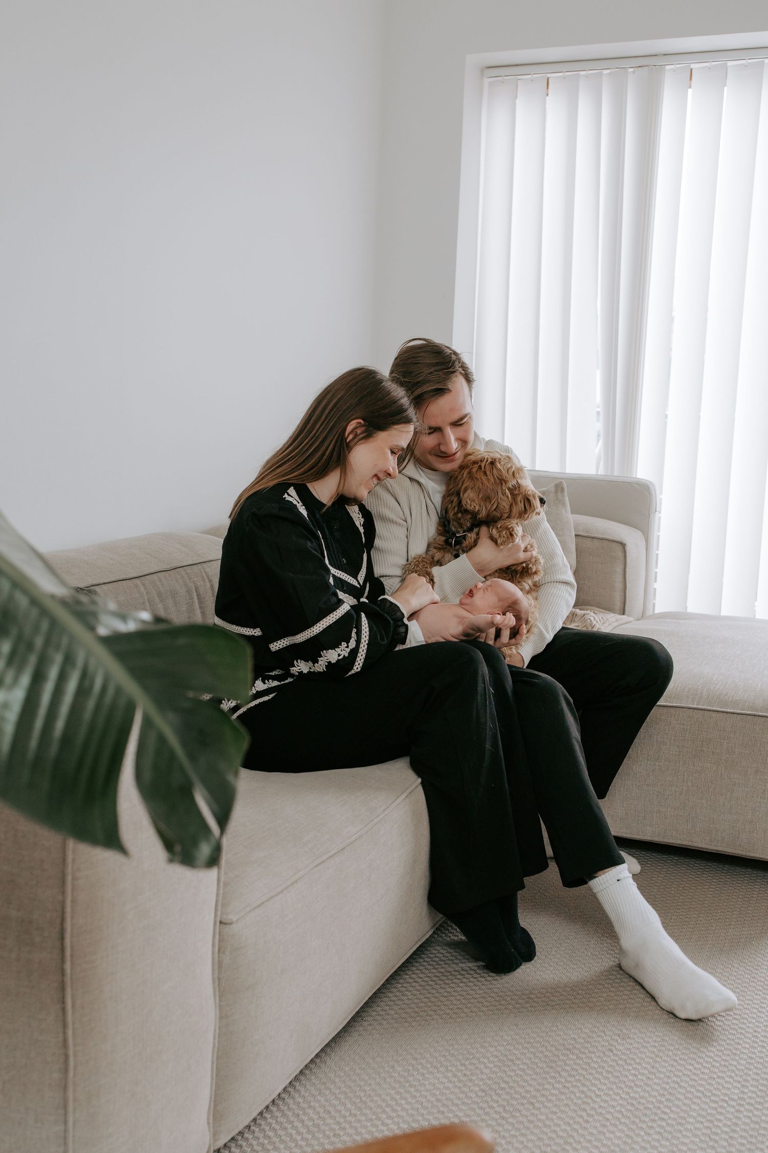 Happy young couple sitting on a sofa together cuddling their small brown dog.