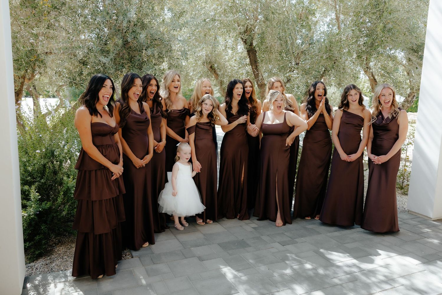 Group of bridesmaids in brown gowns posing with bride and flower girl under olive trees.