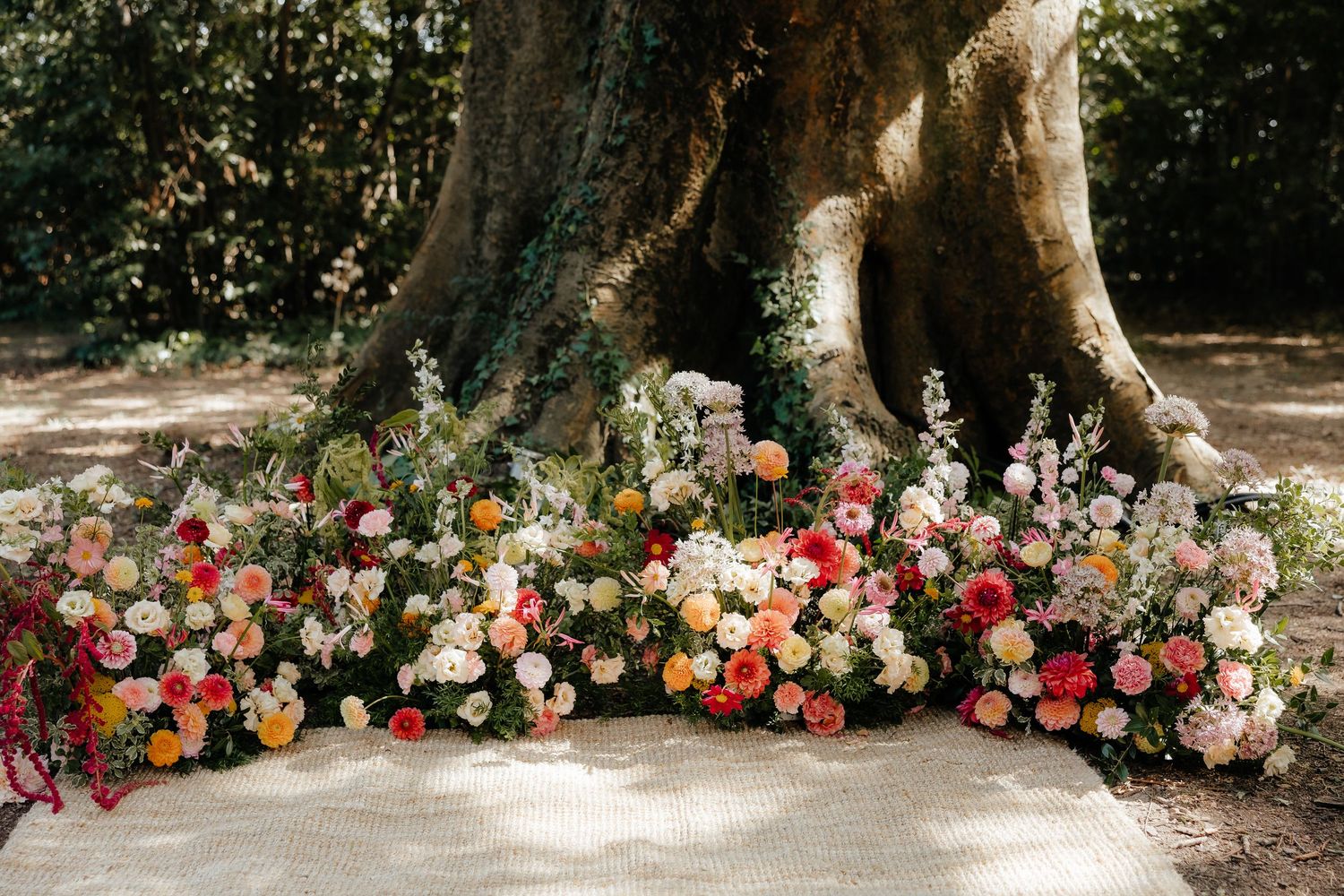 Beautiful floral arrangements in coral and pink tones line the base of large trees for an outdoor wedding.