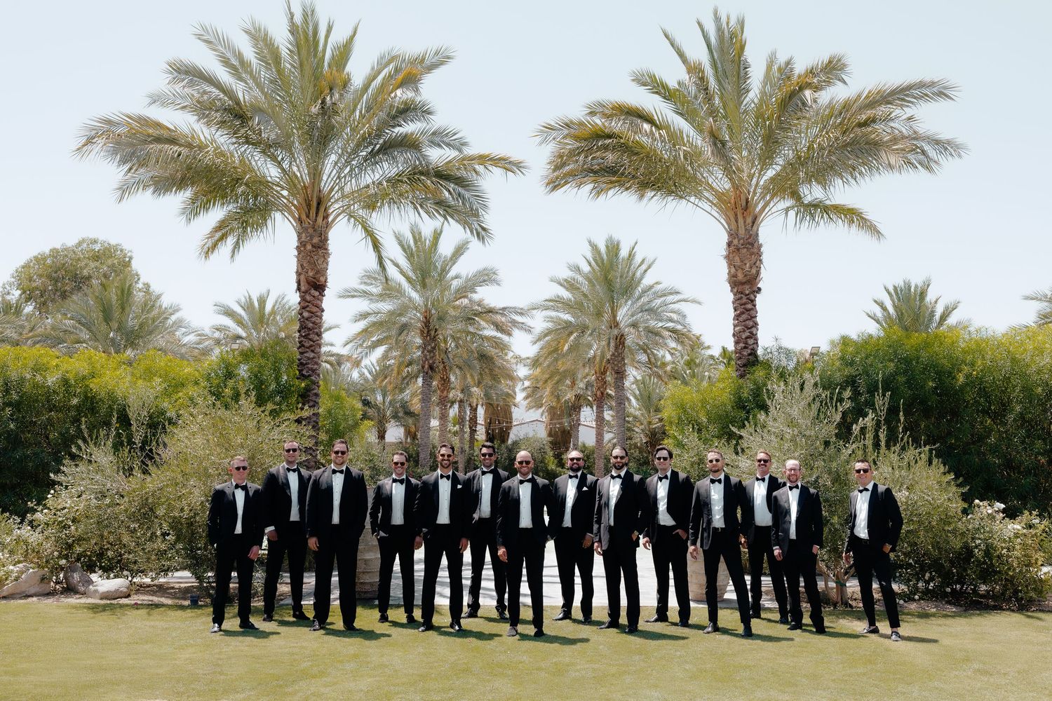 Groomsmen in black tuxedos lined up outdoors between tall palm trees on wedding day.