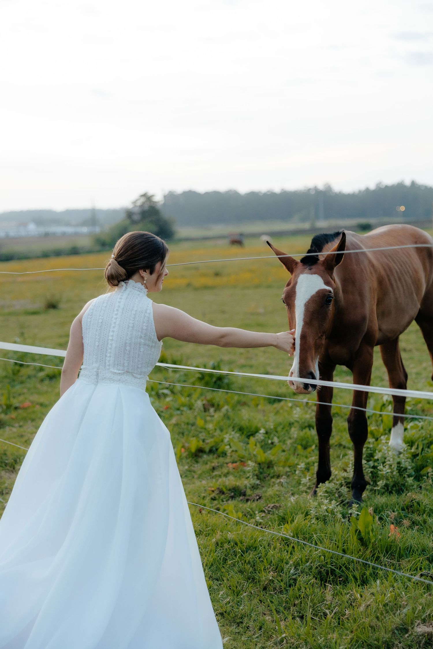 Bride in white sleeveless gown reaches through fence to pet a brown horse in open green field.