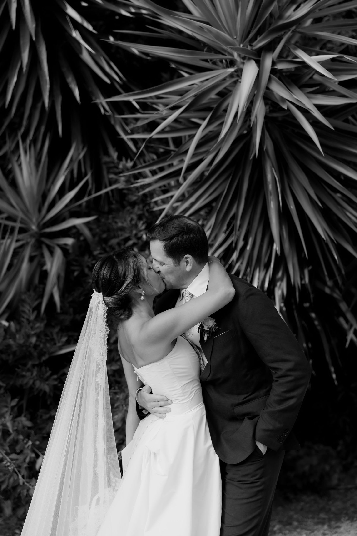 Black and white photo of palm fronds creating a dramatic natural backdrop.
