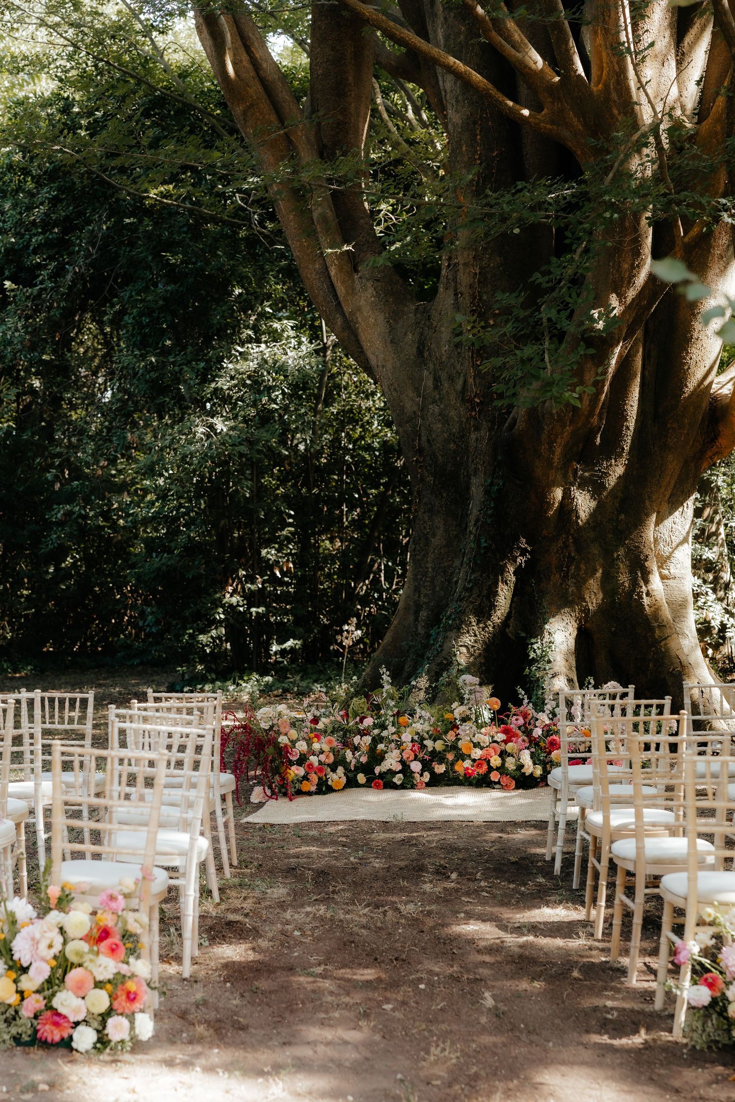 Outdoor wedding ceremony setup with white chairs under large trees decorated with floral arrangements.