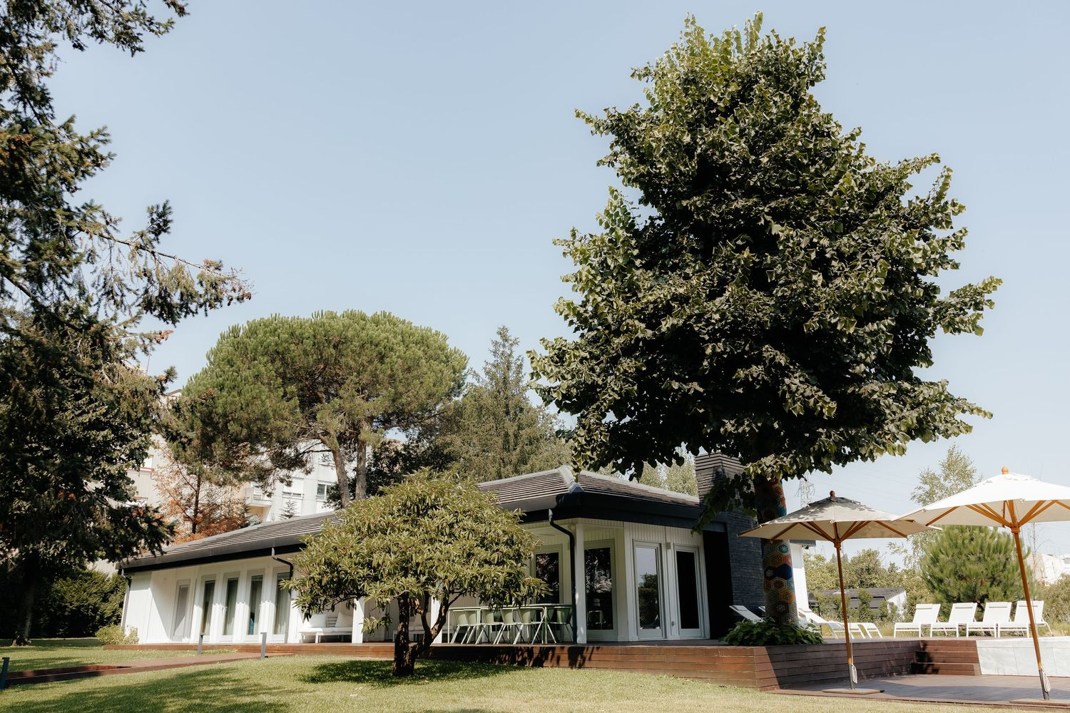 Panoramic view of white ranch-style buildings with trees scattered across a rural property under blue skies.