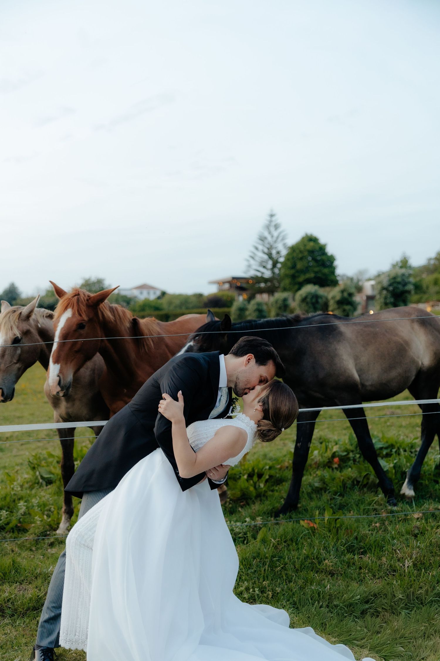 Romantic bride and groom sharing a dip kiss in front of brown horses on a green pasture.