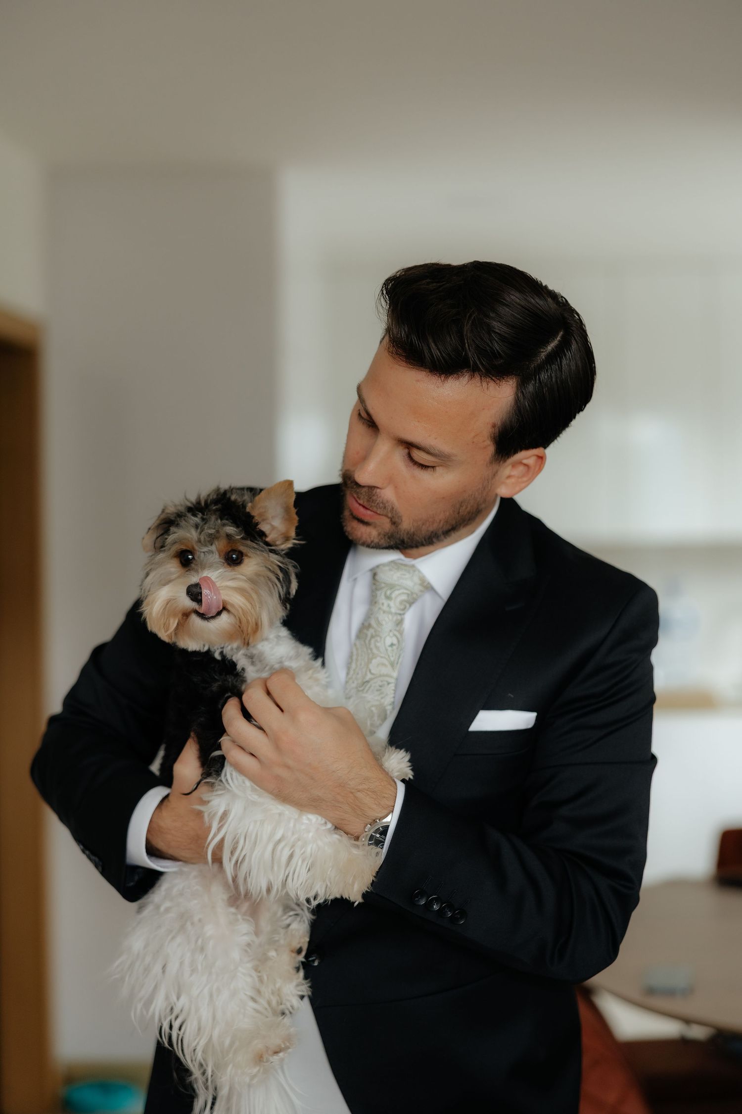 Groom in black tuxedo holds a small Yorkshire Terrier dog indoors.