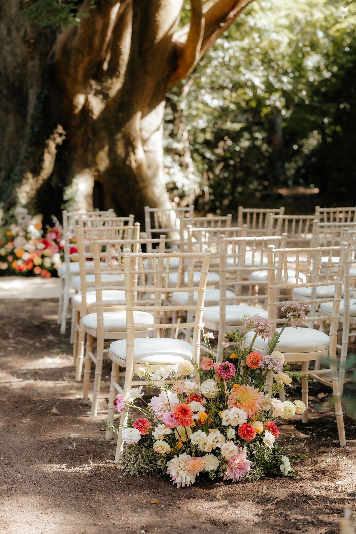 White wooden chairs set up for outdoor wedding ceremony under large trees.