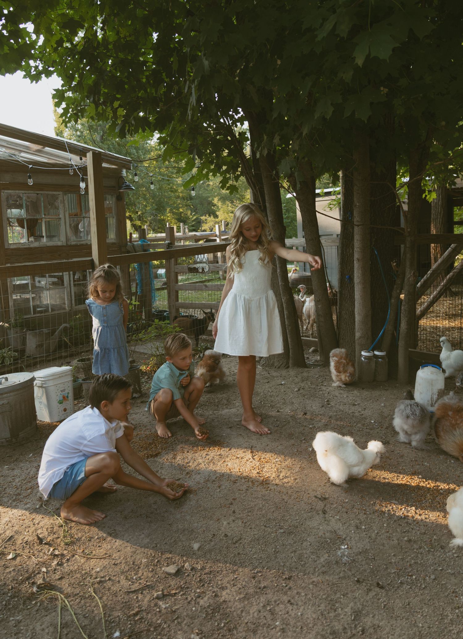 Kids feeding chickens during family backyard photo session in Hudson Valley, New York