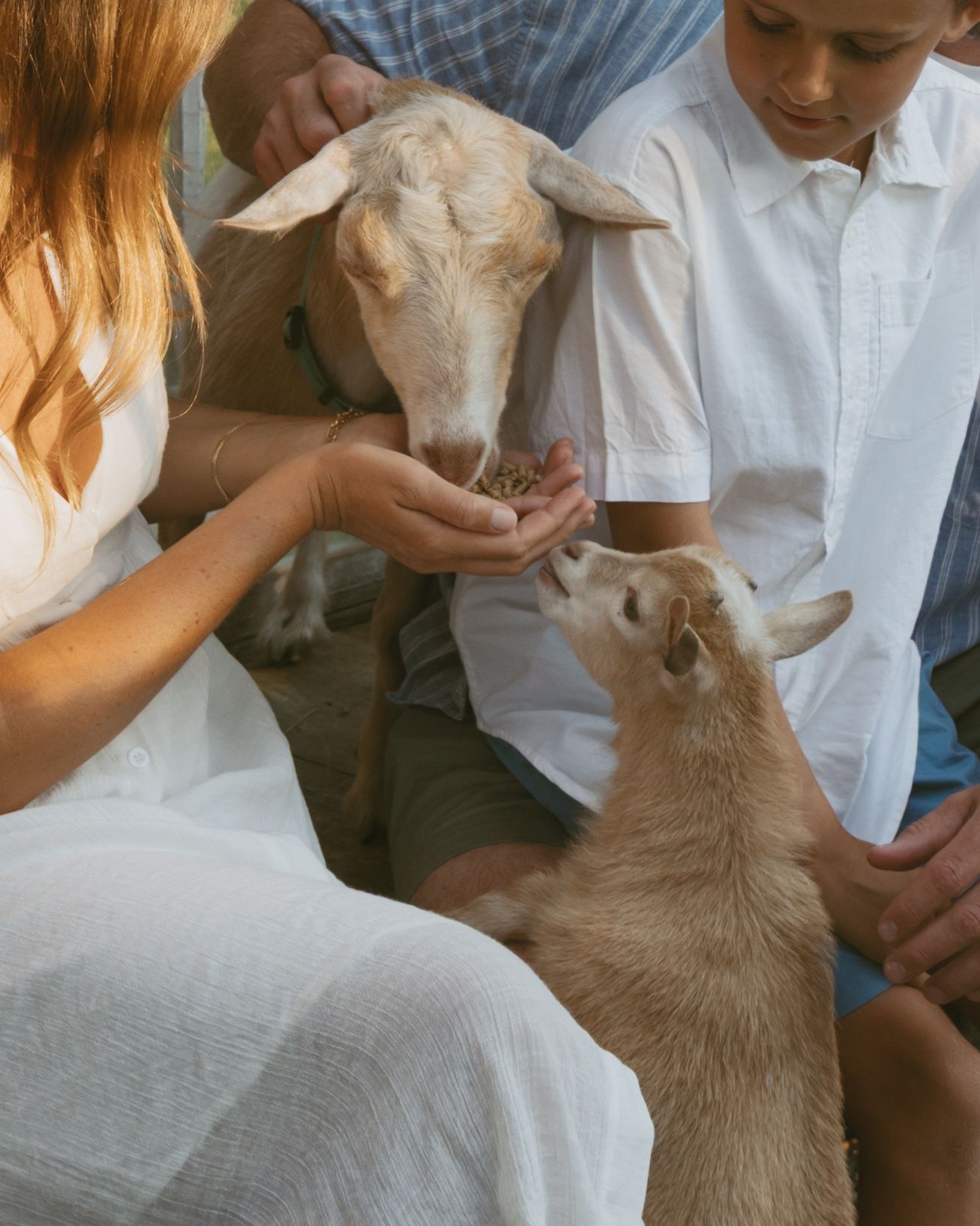 Family feeding goats during their backyard homestead family photo session in Hudson Valley,New York.