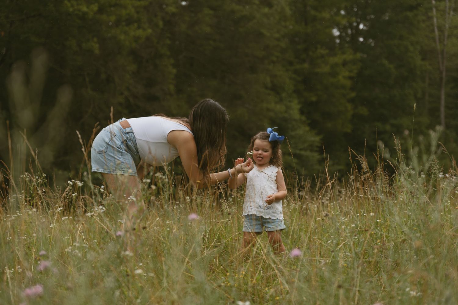 Motherhood photos in a wildflower field in Catskill Mountains New York