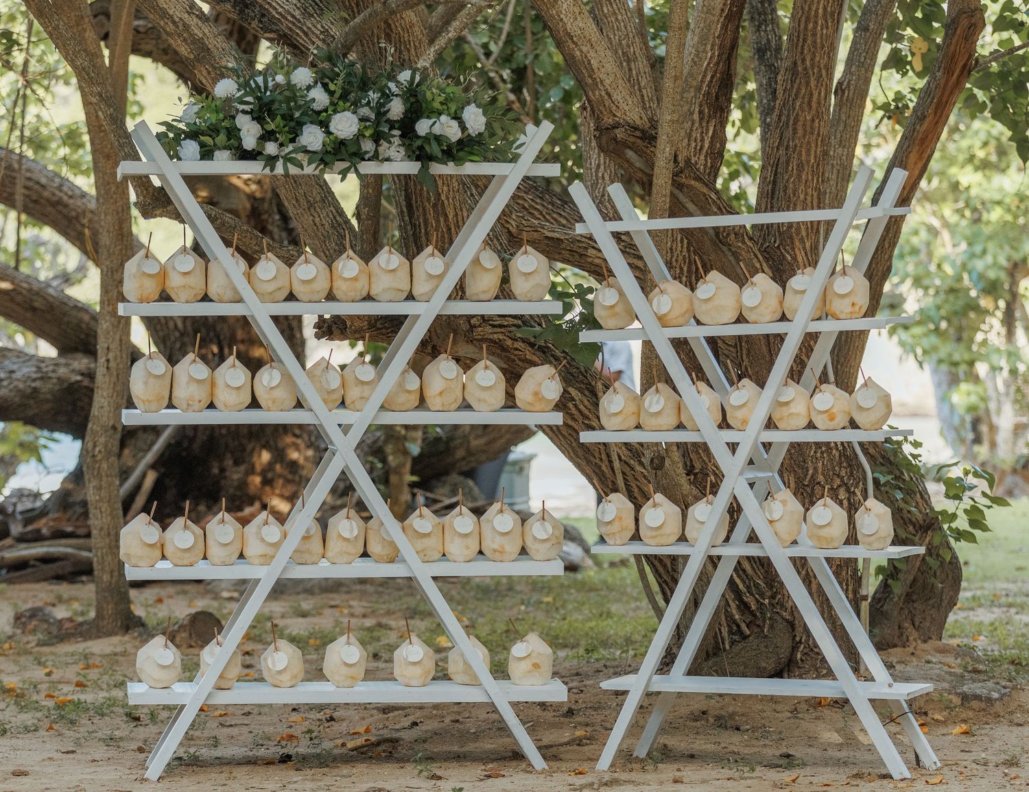 White geometric display shelves holding personalized coconut drinks under a tree at an outdoor wedding.