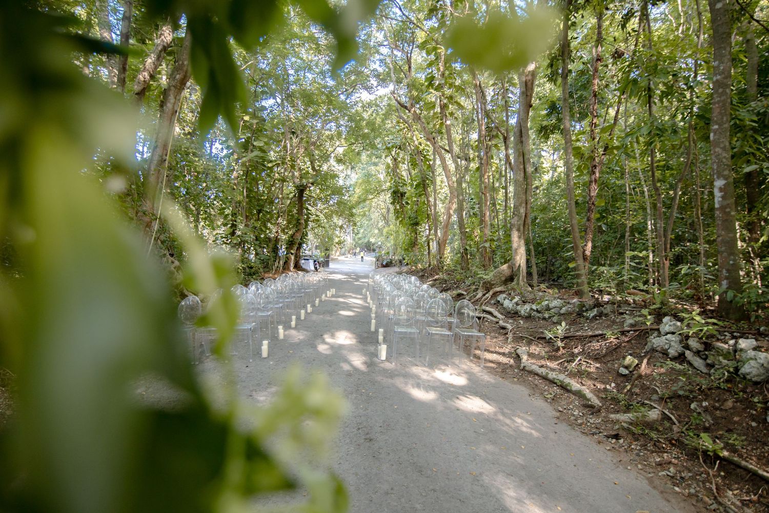 A narrow paved road winds through a lush tropical forest with tall green trees lining both sides.