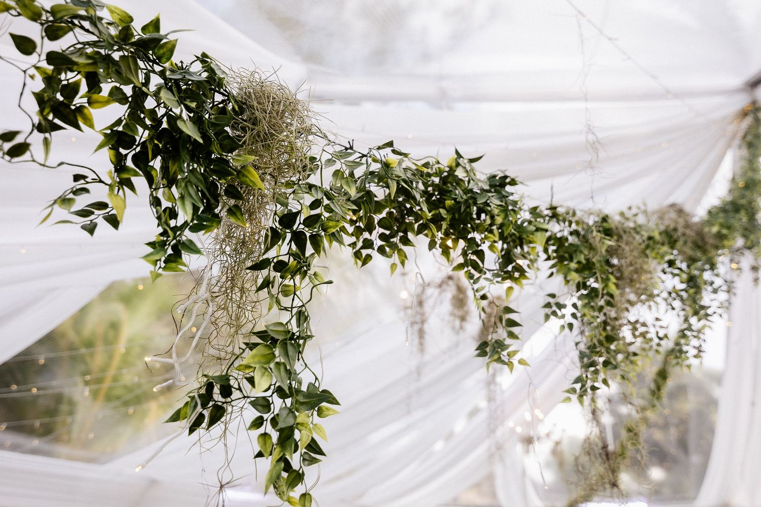 Elegant wedding tent ceiling with white draping and lush green ivy garland decoration.