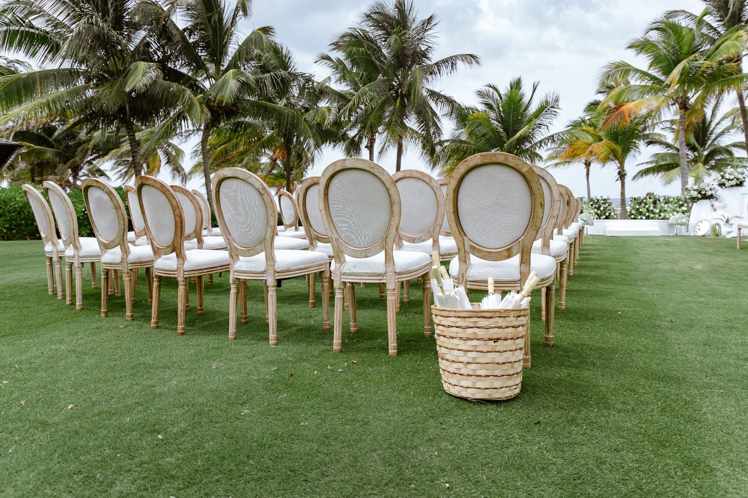 Elegant white Louis XVI chairs arranged in rows on green lawn with tropical palm trees for an outdoor wedding ceremony.