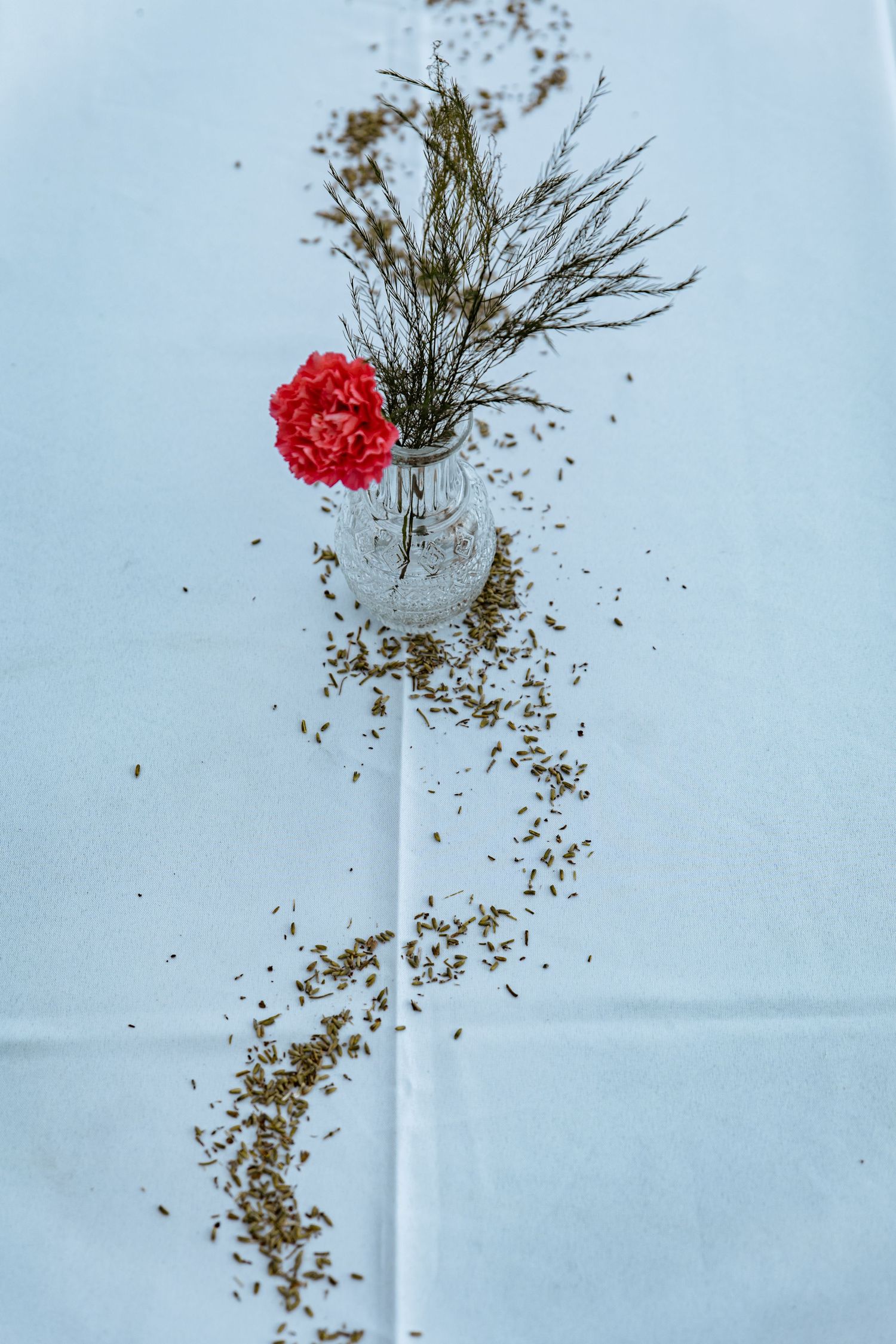 Single red carnation in glass vase with dried branches on white tablecloth scattered with herb seeds.