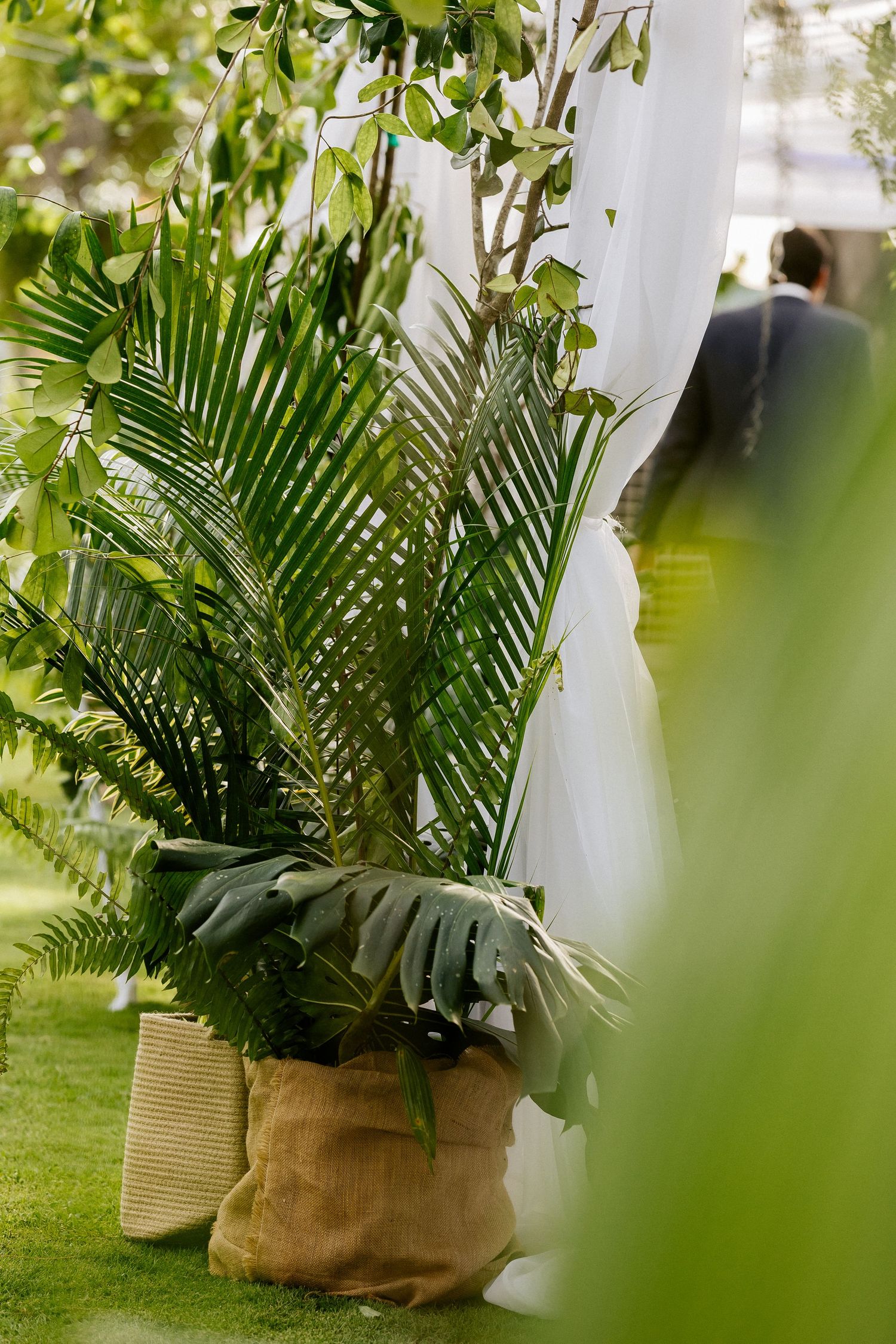 Tropical palm plants in burlap baskets decorate an outdoor wedding ceremony with white draping.