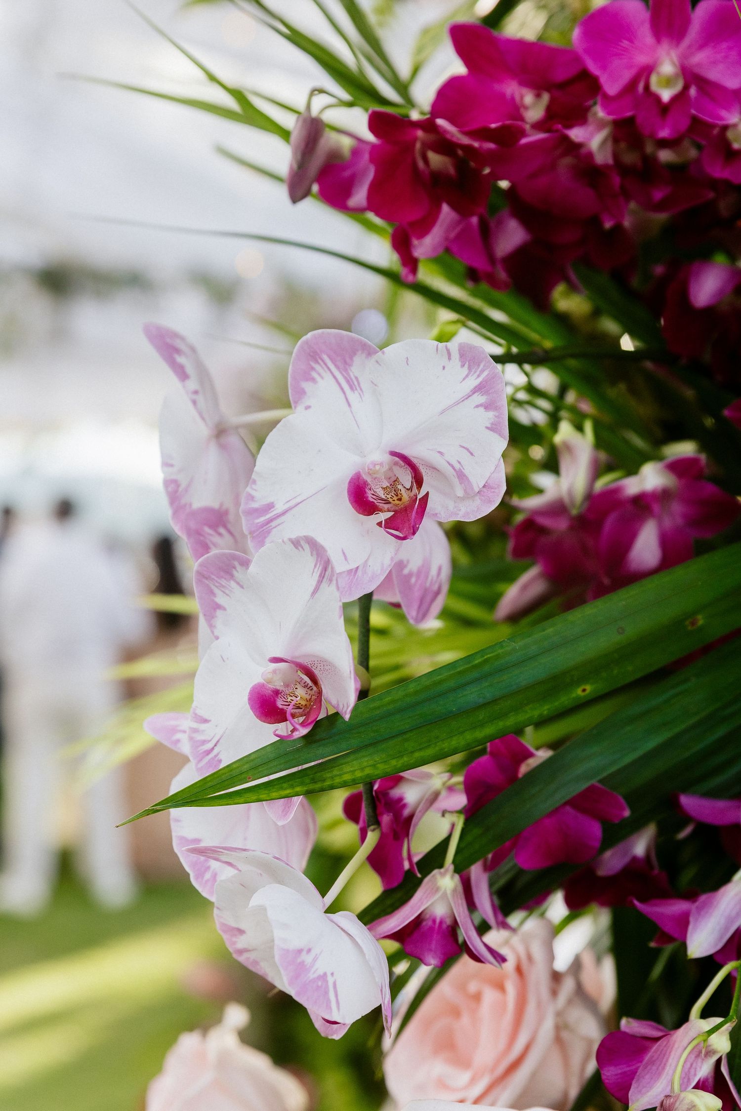White and pink orchids with magenta Vanda orchids in a floral arrangement at an outdoor wedding ceremony.