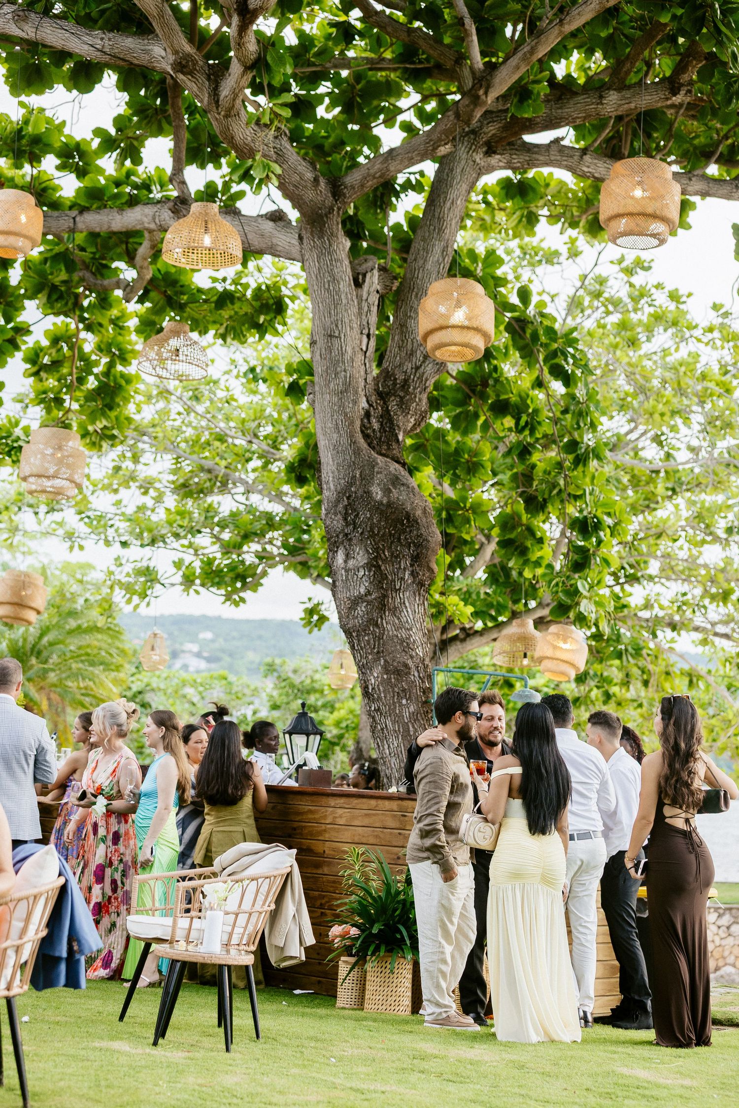 Outdoor wedding reception under a large tree with hanging wicker lanterns, guests mingling on lush green lawn.