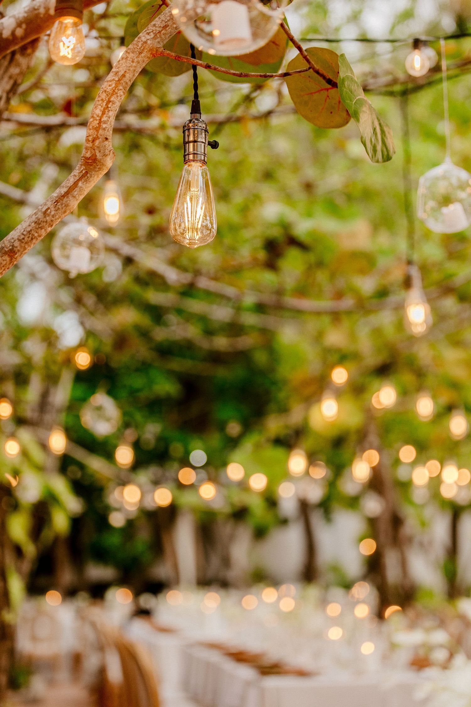 Warm Edison bulb string lights hanging from tree branches over an outdoor garden wedding reception table.