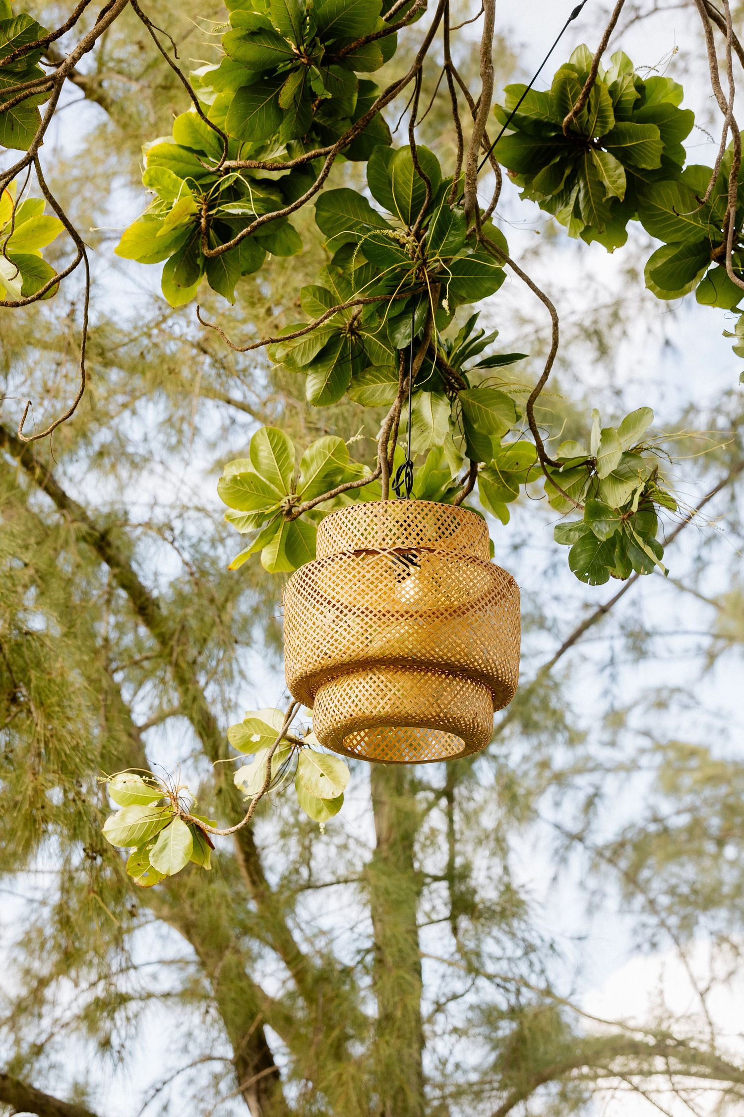 Woven bamboo lantern hanging from tropical tree branches with lush green leaves against a bright sky.