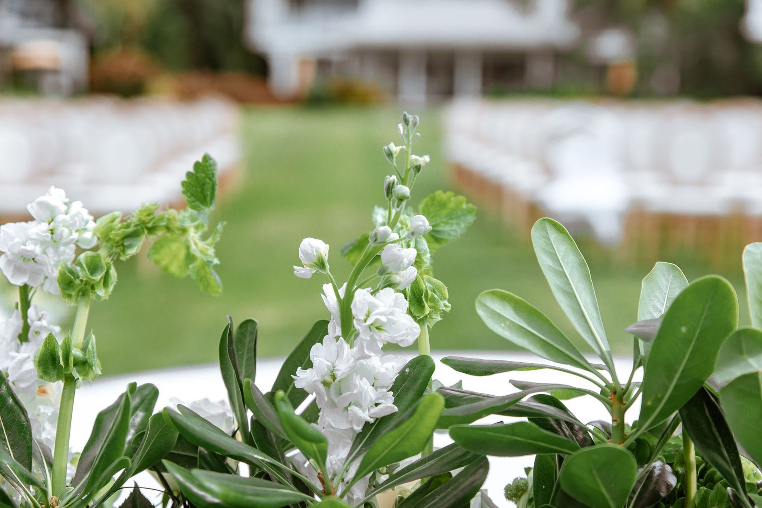 White flowers and lush green foliage with an elegant outdoor wedding venue setup in the blurred background.