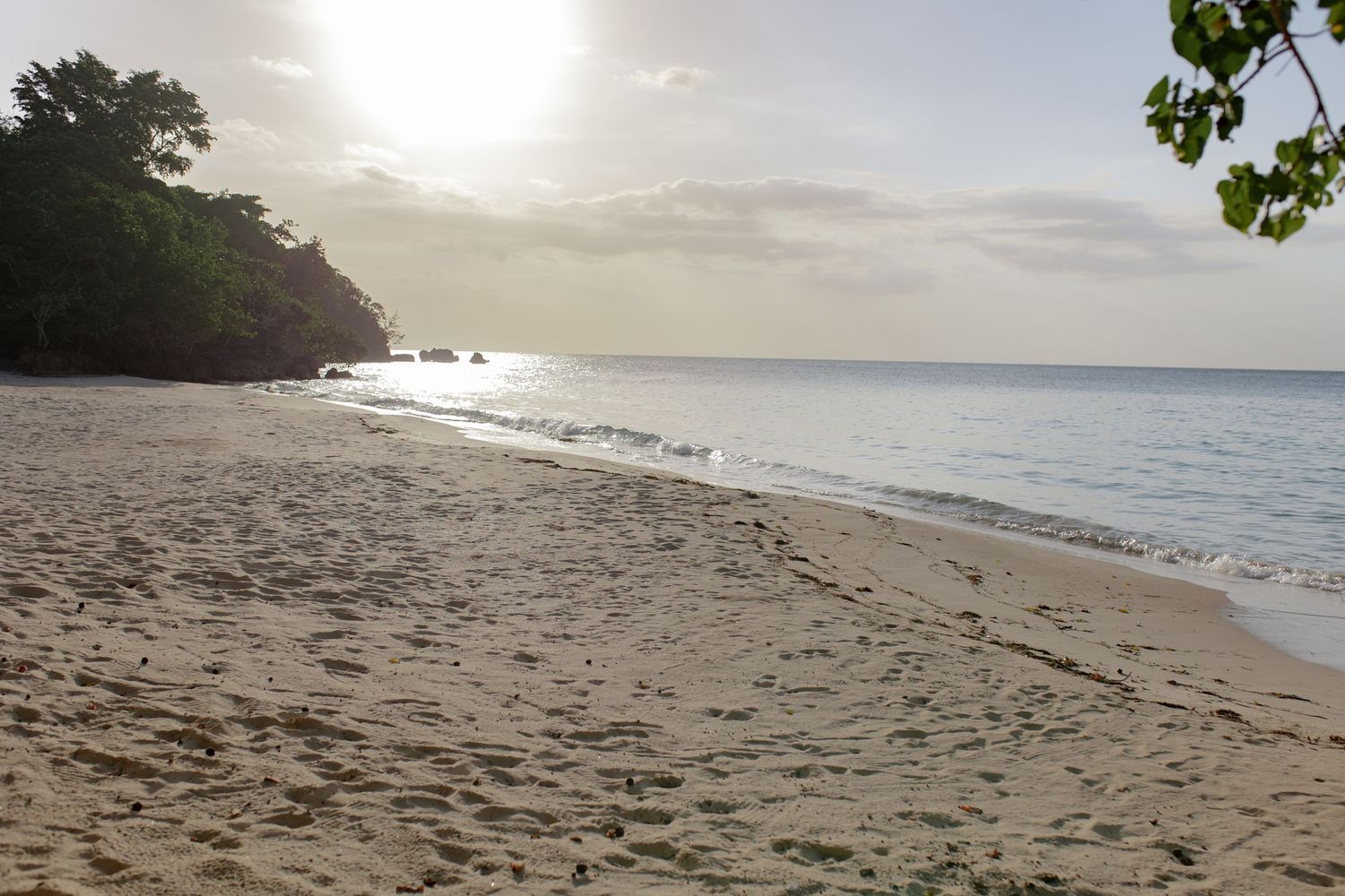 A serene tropical beach at golden hour with calm turquoise waters and lush green trees.