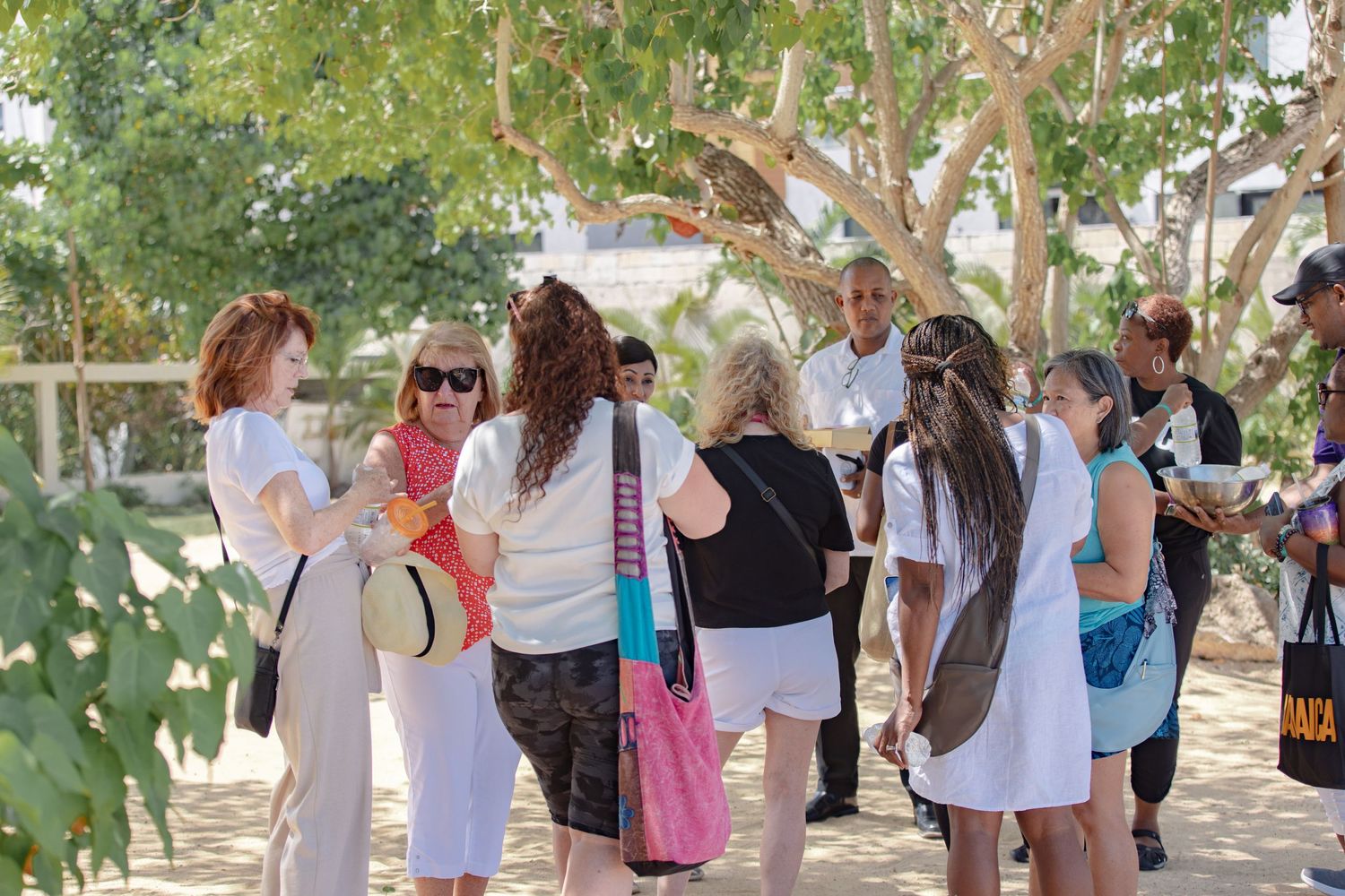 Group of women gathering outdoors under shady trees at a sunny tourist destination.