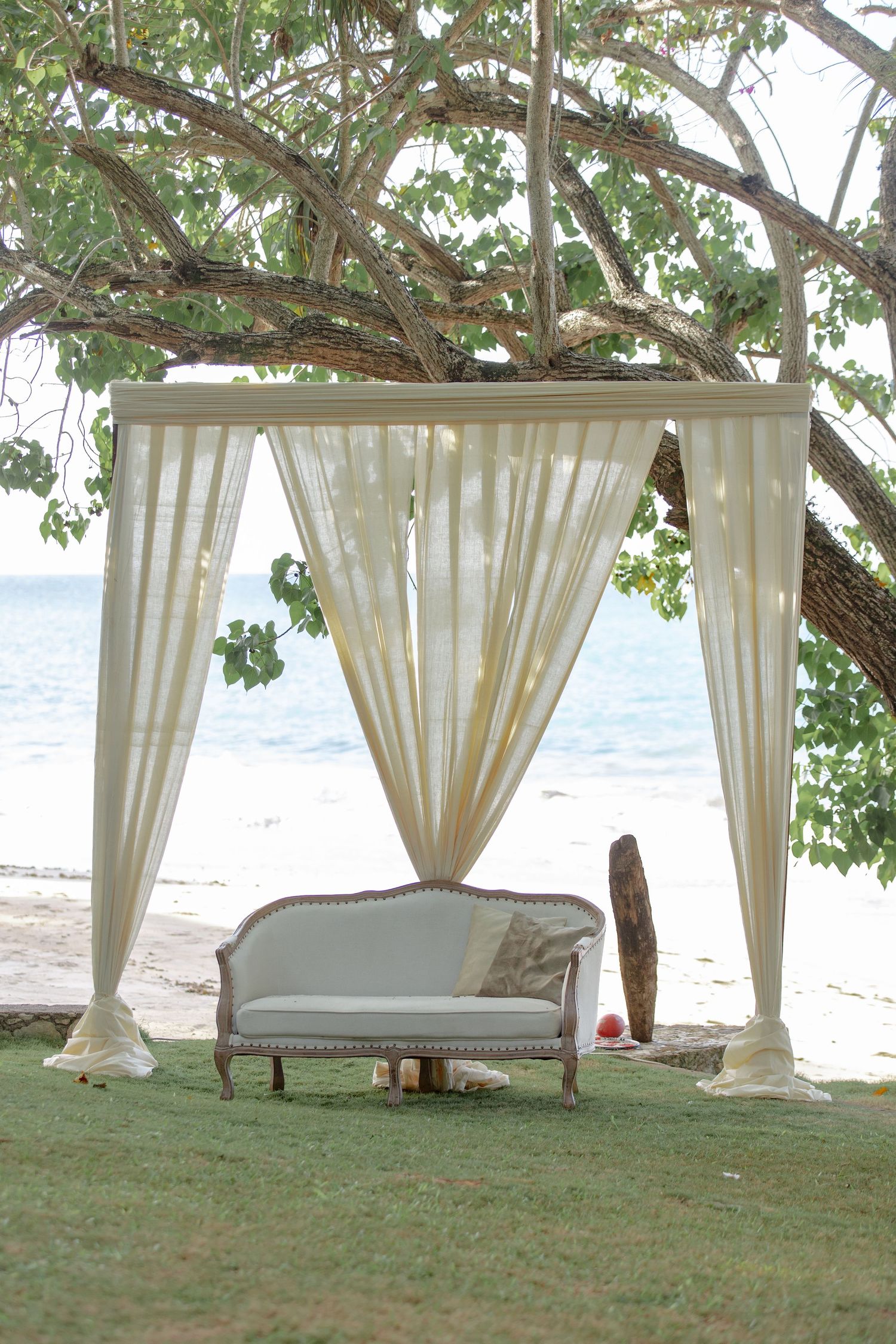 Romantic beach wedding canopy with sheer white curtains and vintage loveseat sofa on green grass overlooking the ocean.