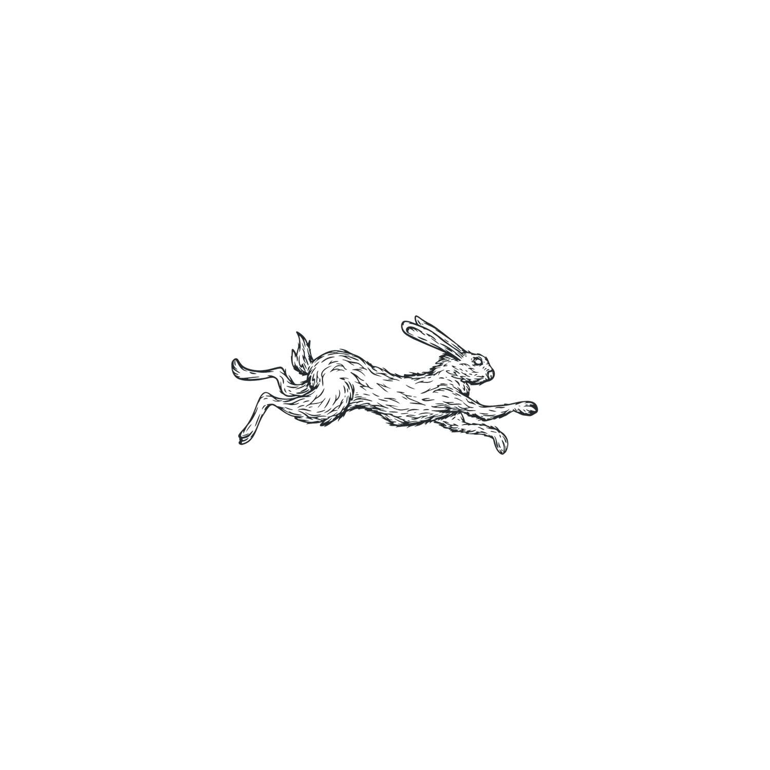 Detailed black and white ink illustration of a leaping hare in a classic engraving style.