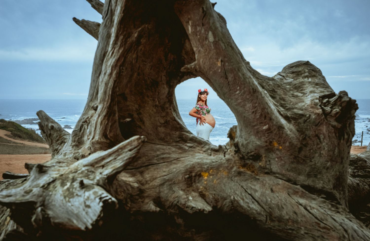 Person sitting in twisted driftwood sculpture with ocean view in background.
