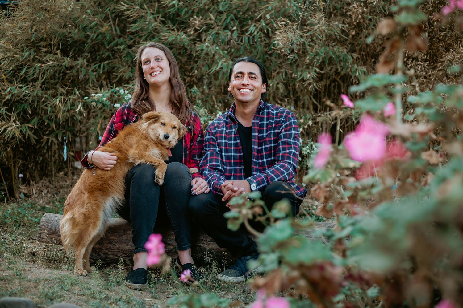 Smiling couple sitting on a bench with a golden dog in a lush garden with pink flowers.