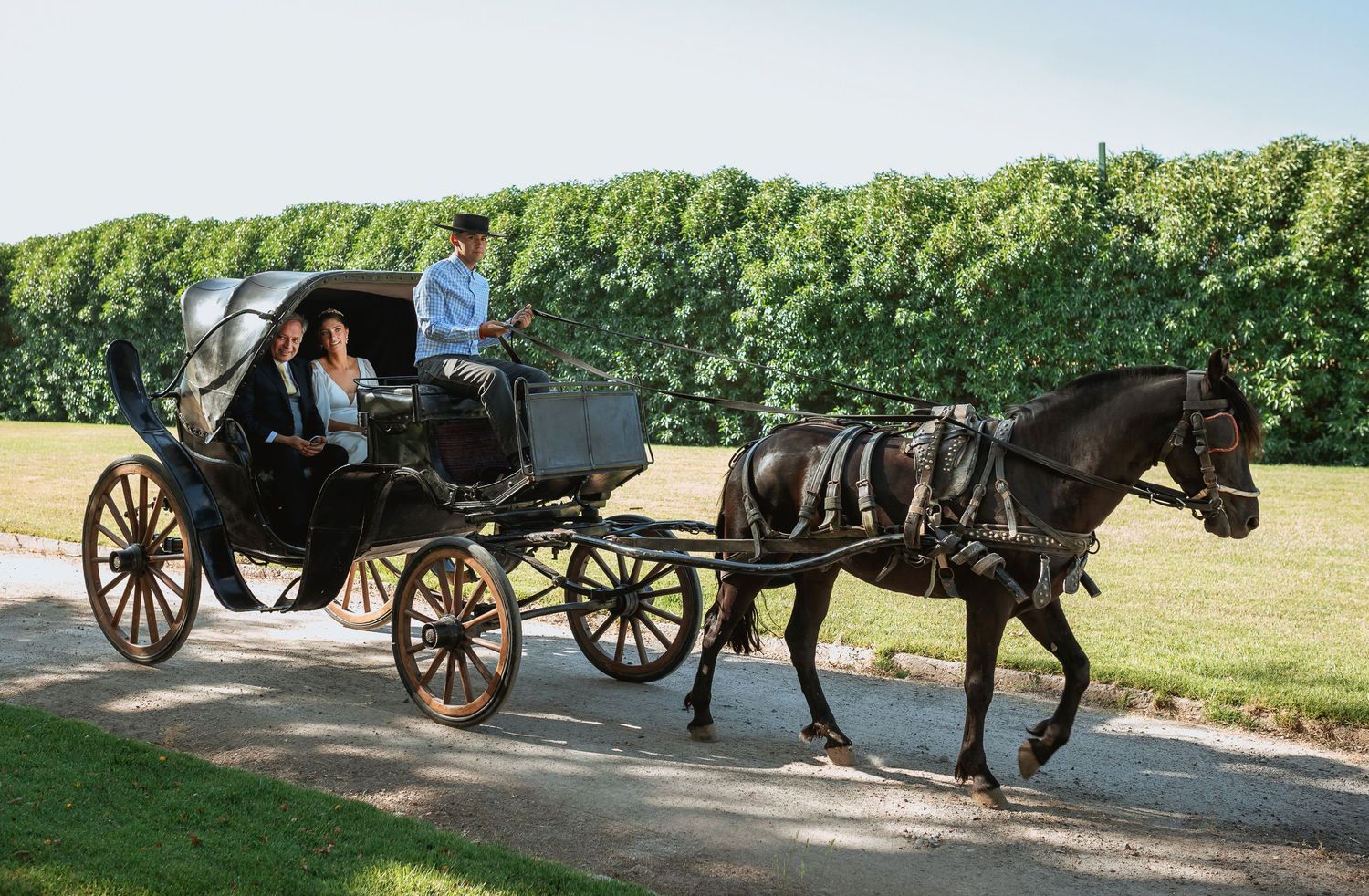 Bride and groom ride elegant black horse-drawn carriage on scenic path.