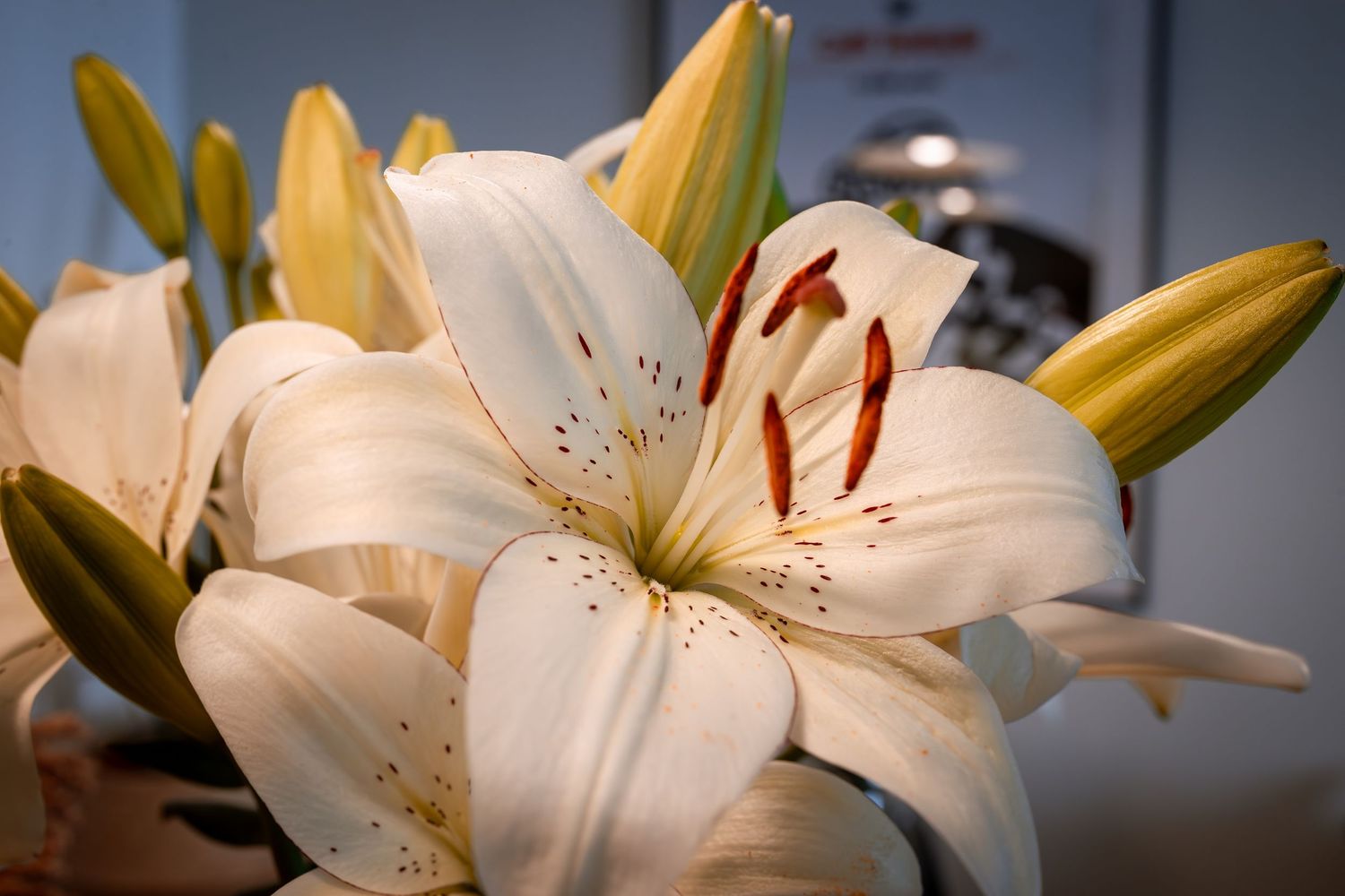 Beautiful white lily flowers with red stamens in a bridal bouquet arrangement.