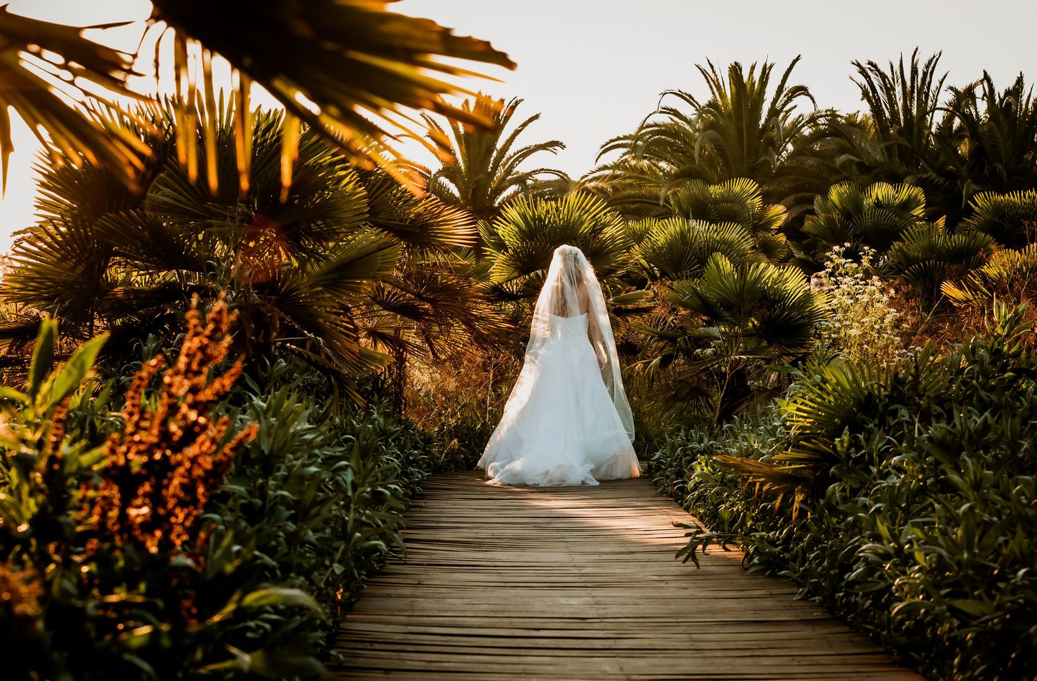 Bride in white gown and veil walking away down a lush tropical garden boardwalk at sunset.