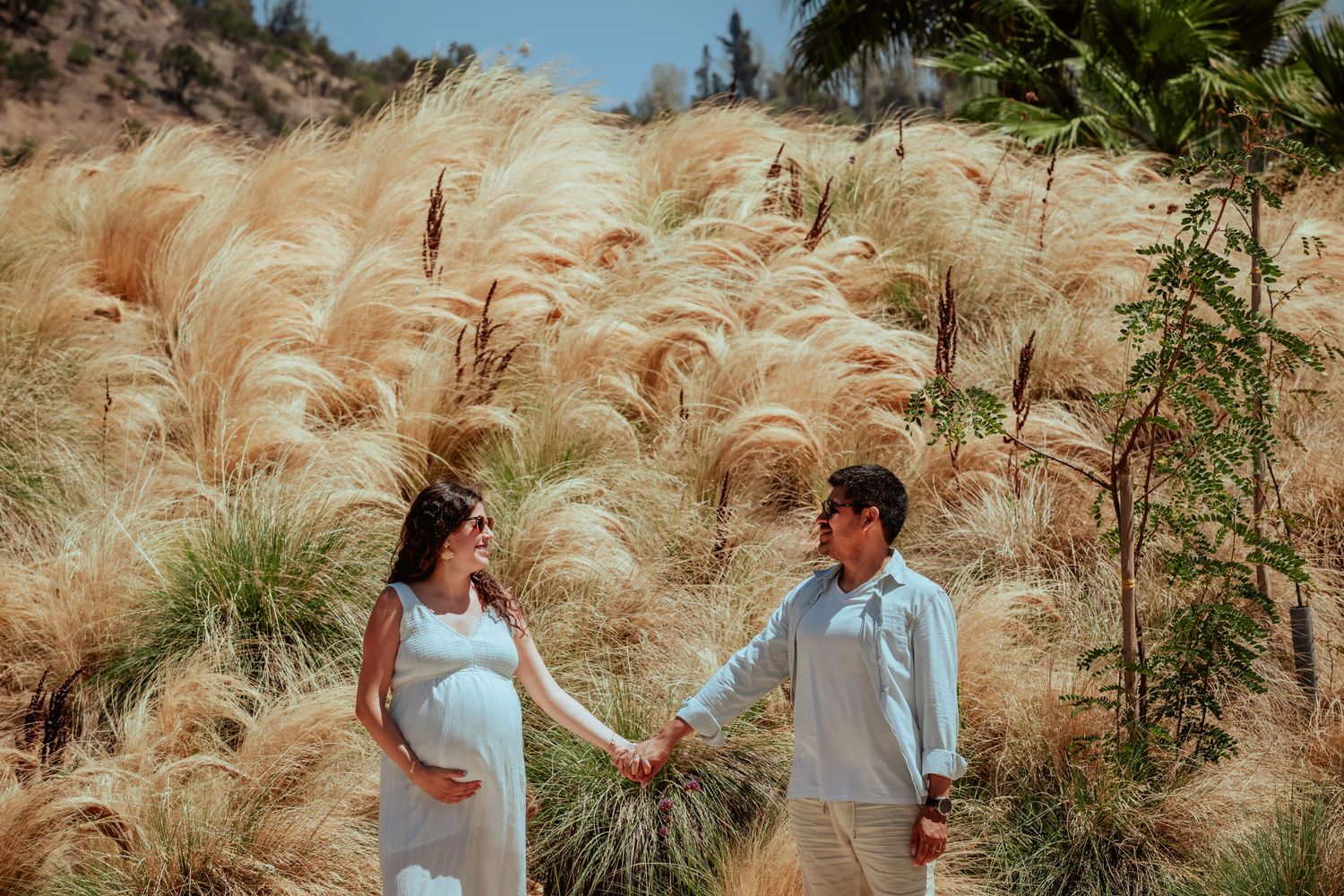 Pregnant couple holding hands standing before golden pampas grass field in sunny outdoor maternity shoot.