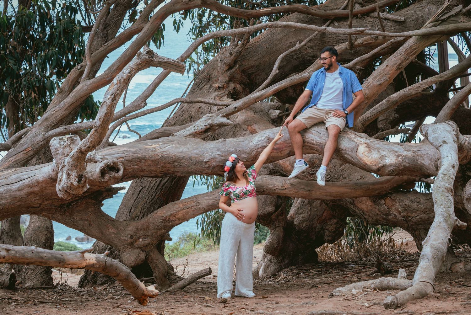 Maternity couple posing on large twisted tree branches outdoors.