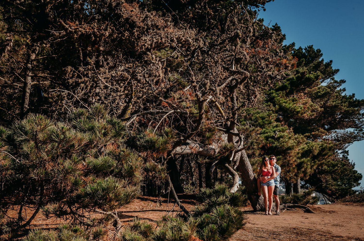 Couple standing together beneath large sprawling pine trees on a clear sunny day outdoors.