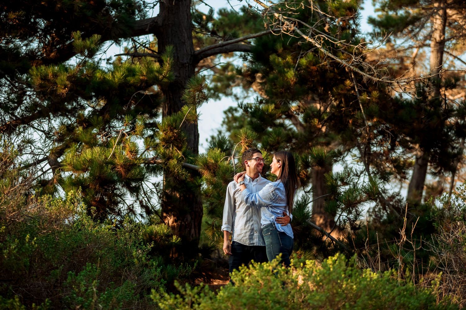 Couple embracing among lush green pine trees in golden hour light.