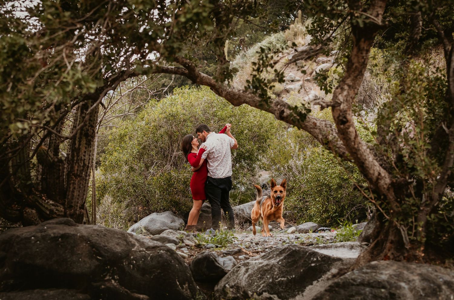 Couple kissing under arching trees on rocks with their dog in a lush forest setting.