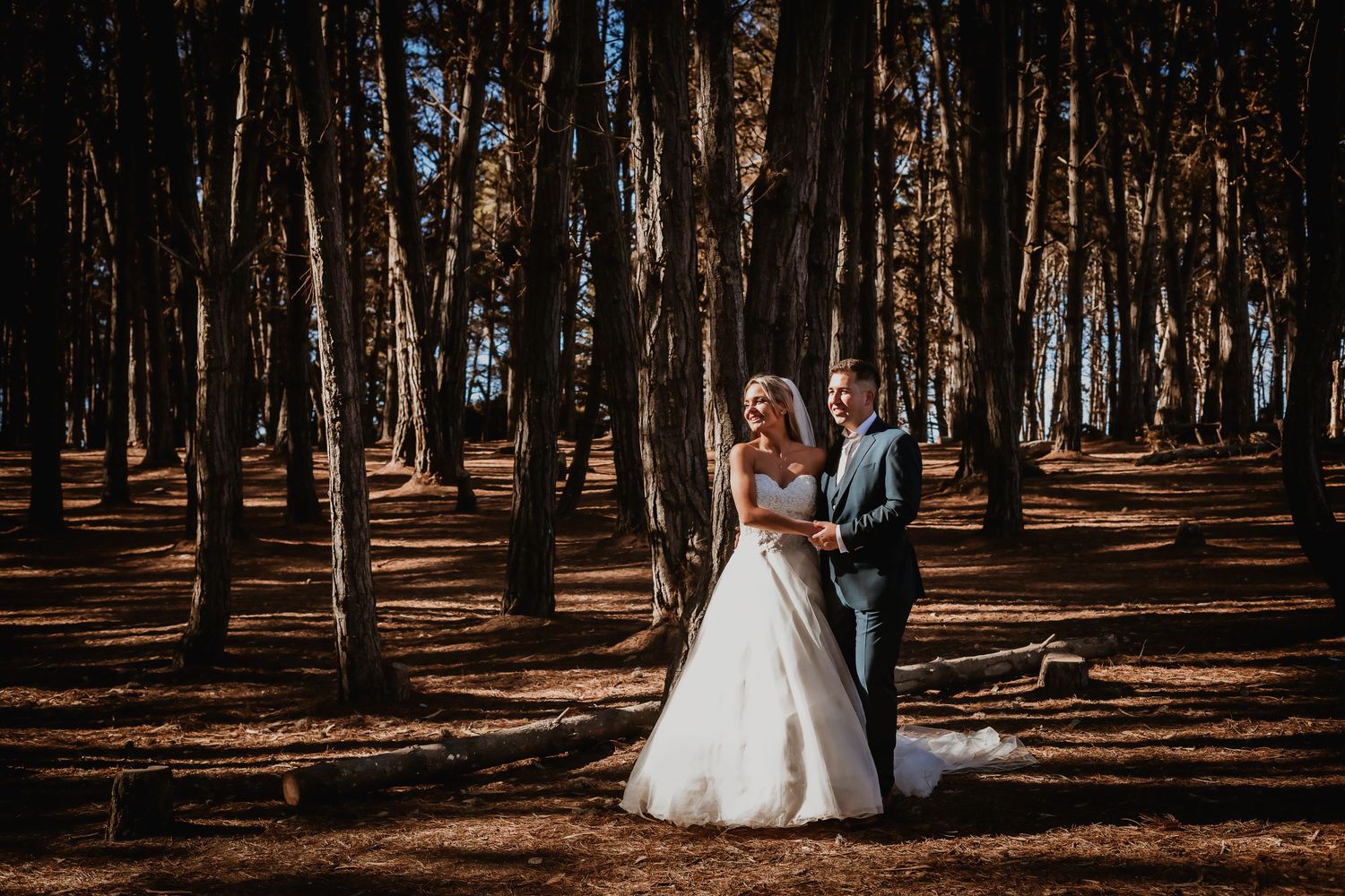 Bride and groom embracing in a sunlit forest with tall pine trees.