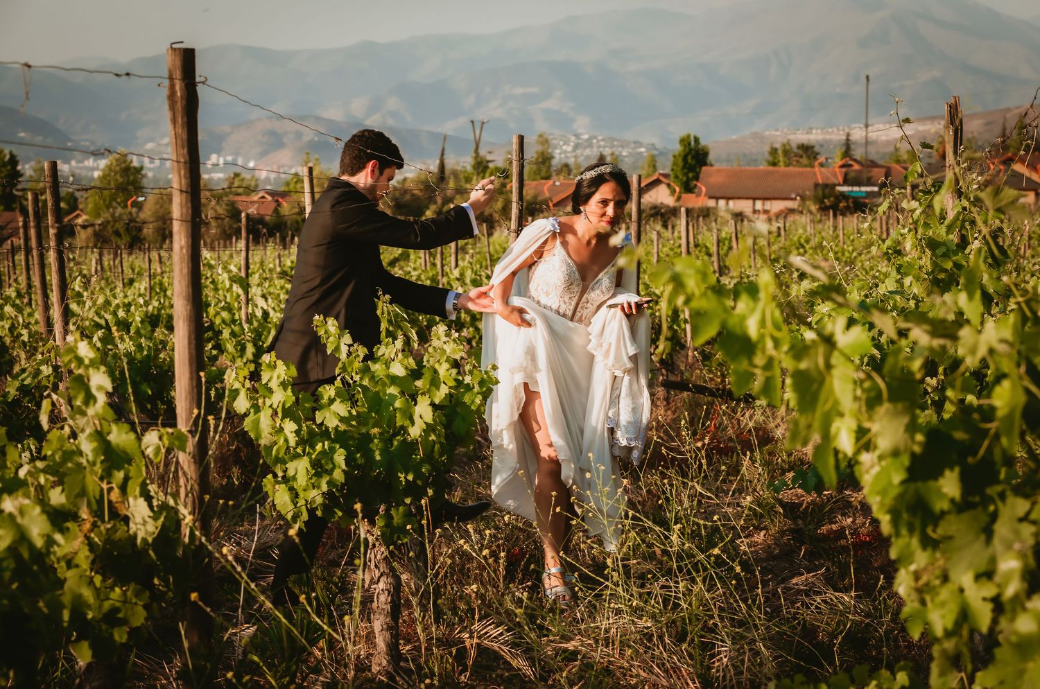 Groom helps bride lift her wedding dress while walking through lush vineyard rows together.
