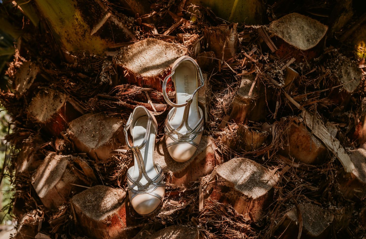 Delicate silver strappy bridal heels resting on scattered autumn leaves and pine needles on forest ground.