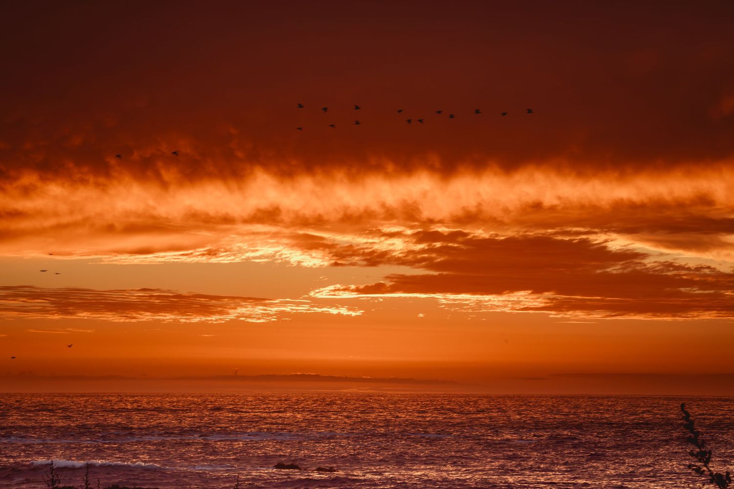 Dramatic orange sunset over ocean with flock of birds flying through glowing red clouds.