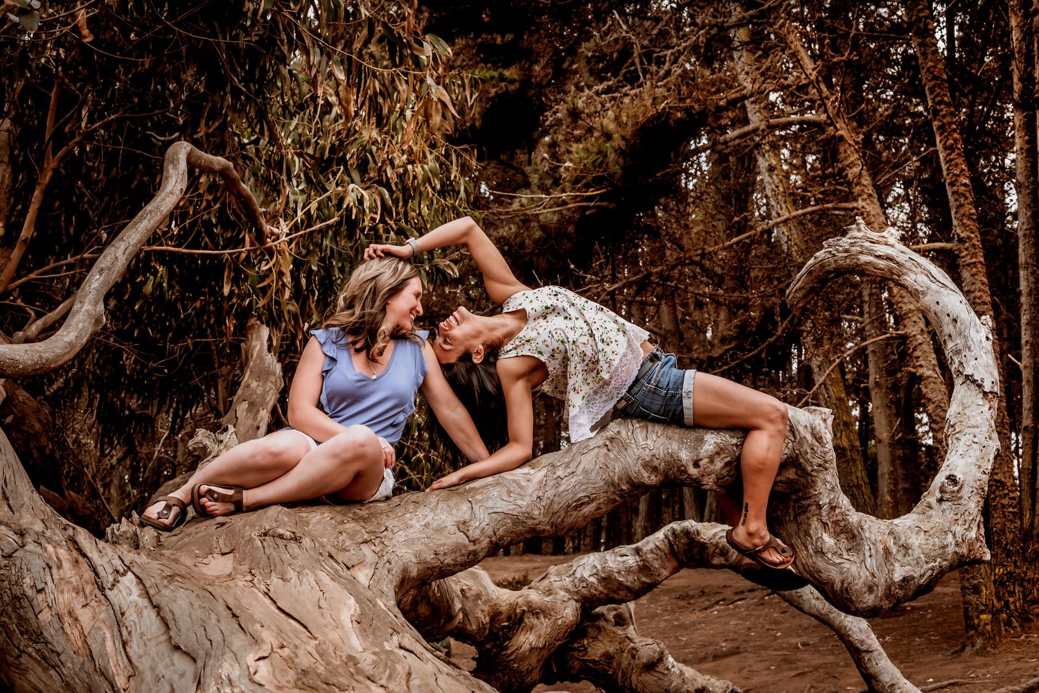 Two women relaxing and laughing together on large curved driftwood logs in a forest.