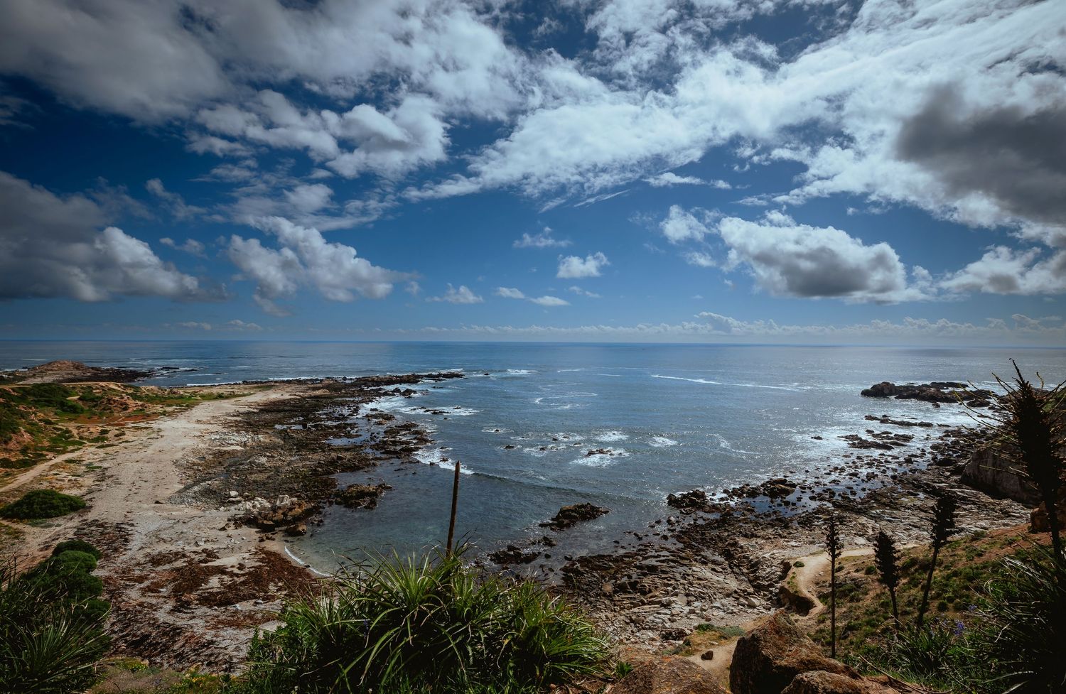 Rocky coastline with tide pools, green coastal grasses and calm ocean waves beneath a dramatic blue sky filled with scattered clouds.